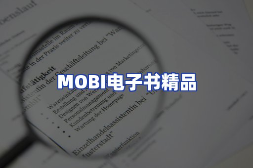 外文电子书产品